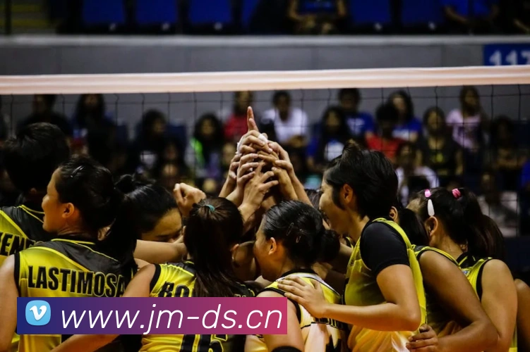 东瀛体育平台生态图